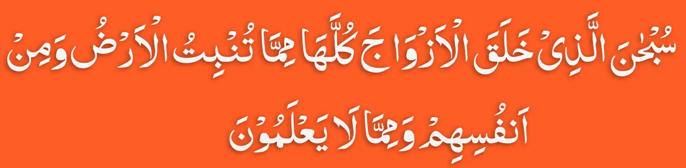 "Surah
