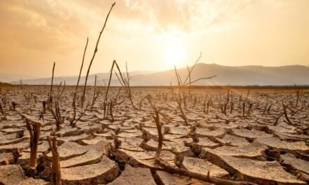 Laa ilaaha illallah Wazifa To Remove Problems Between Husband And Wife